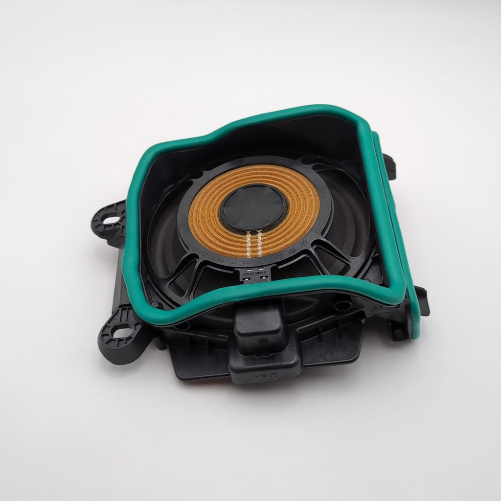 2019 - 2025 BMW G80 G82 G83 M3 M4 Front Left Side Sub Woofer Assembly 2622489