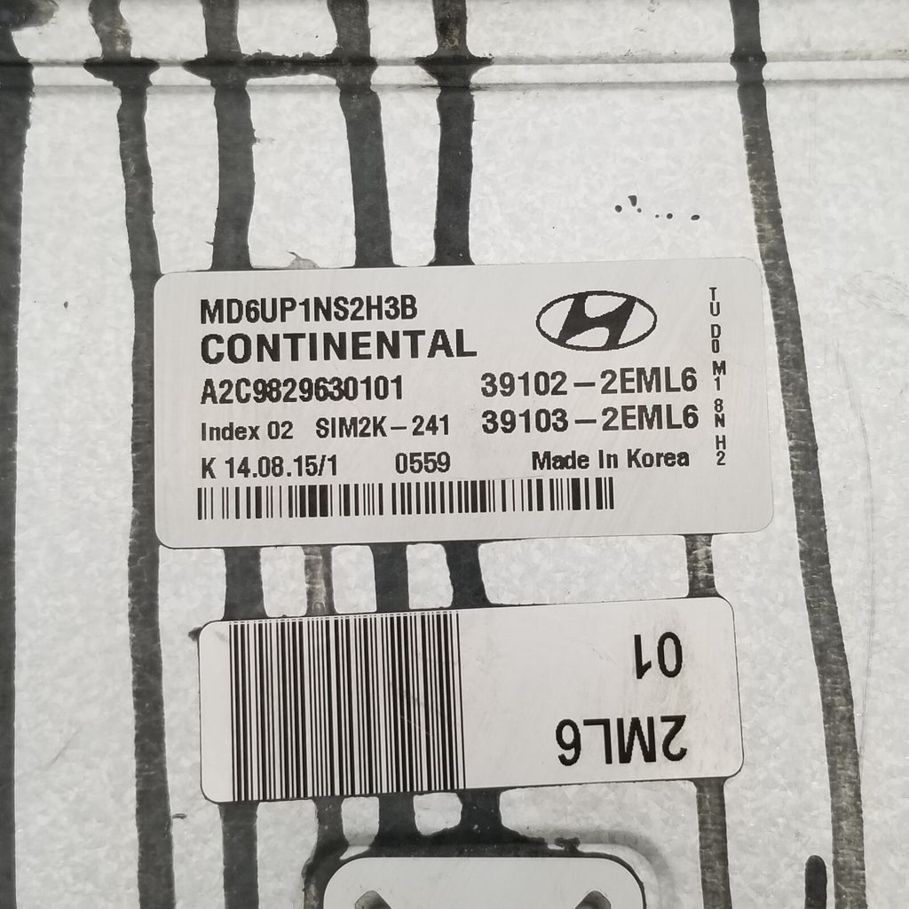 2014 2015 2016 Hyundai Elantra Engine Computer Control Module OEM 391022EML6
