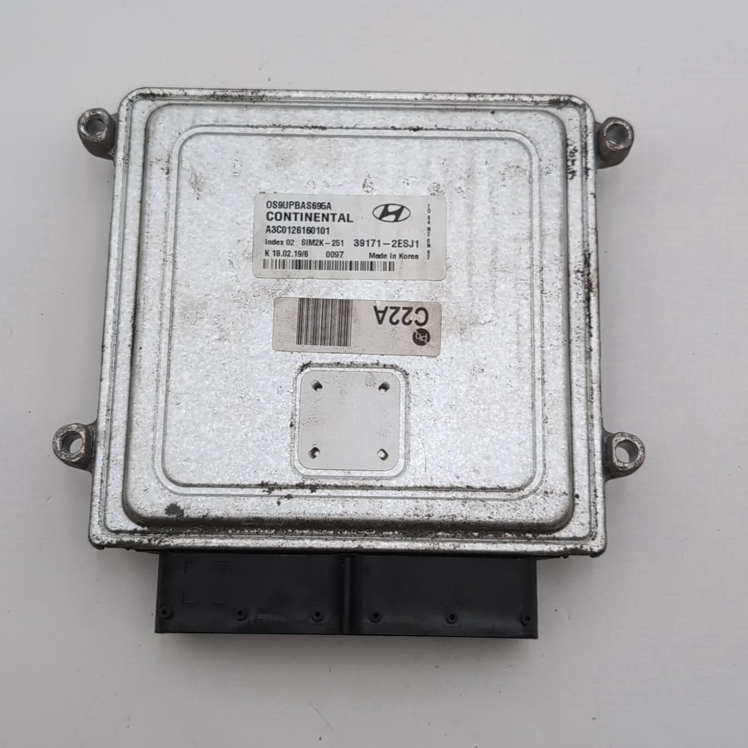 2019 2020 2021 Hyundai Kona 2.0L Engine Computer Control Module ECU 39171-2ESJ1