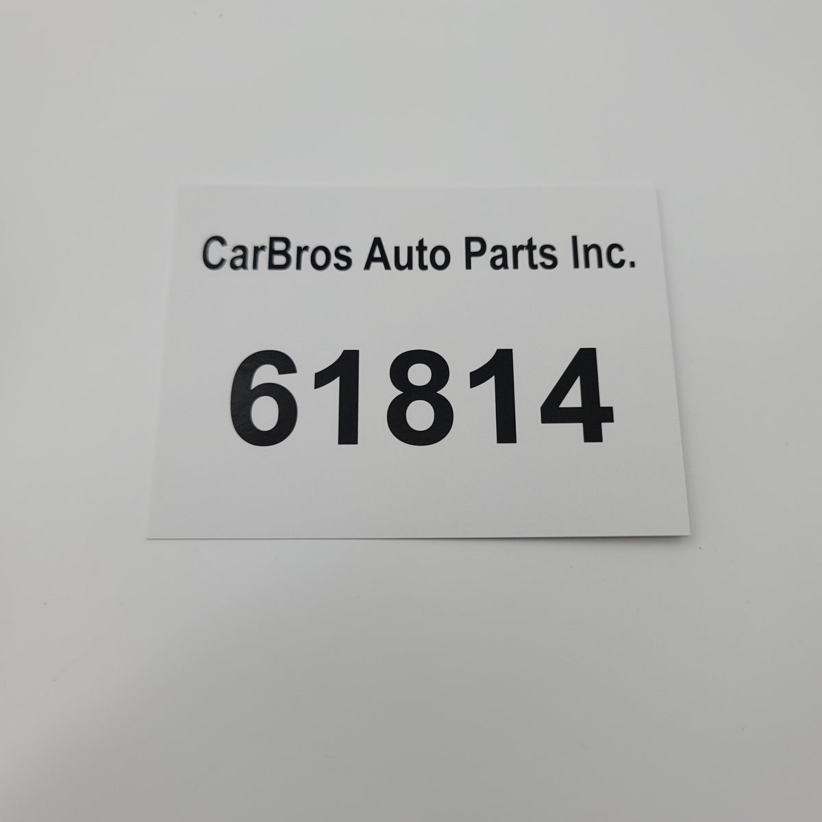 2023 2024 2025 BMW 330i 530i G20 G60 X1 X3 Radio Receiver Control Module 5B4DB86