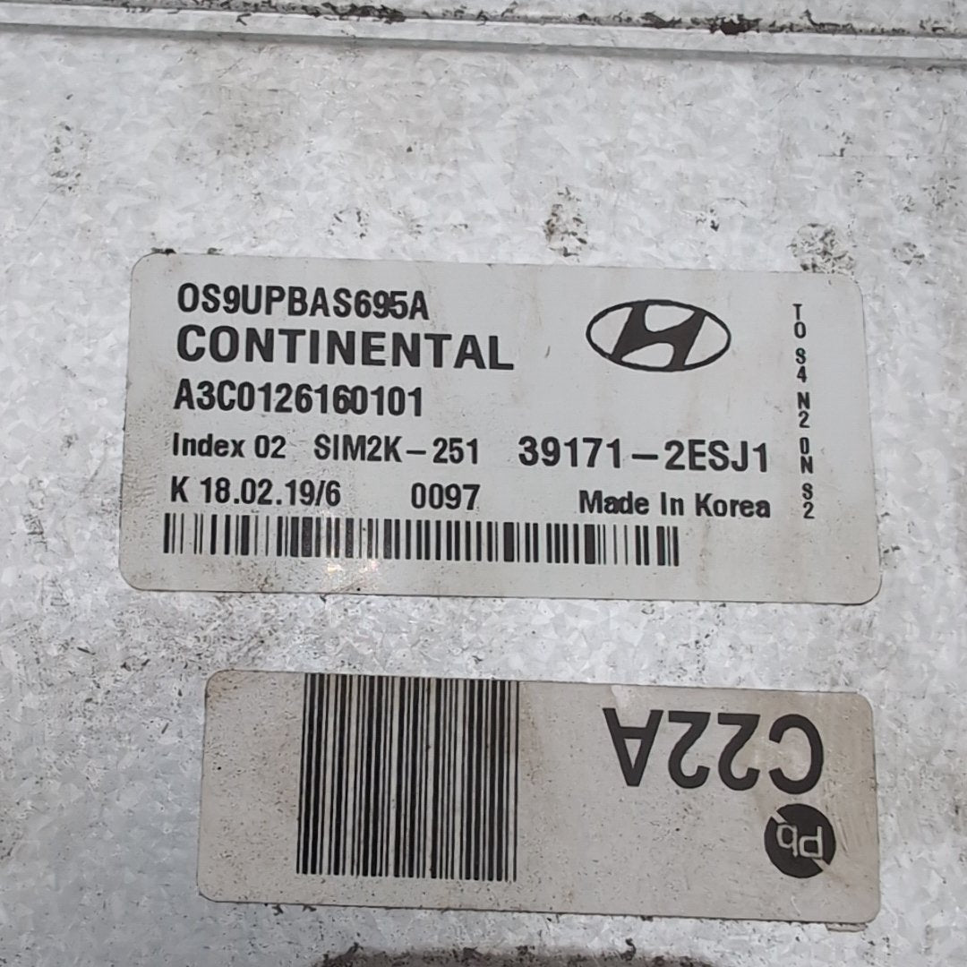 2019 2020 2021 Hyundai Kona 2.0L Engine Computer Control Module ECU 39171-2ESJ1
